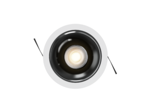 Ignis - Image 2
