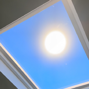 Image Resize _ Vista Ray-03