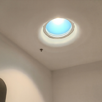 Image Resize _ Vista Ray-07