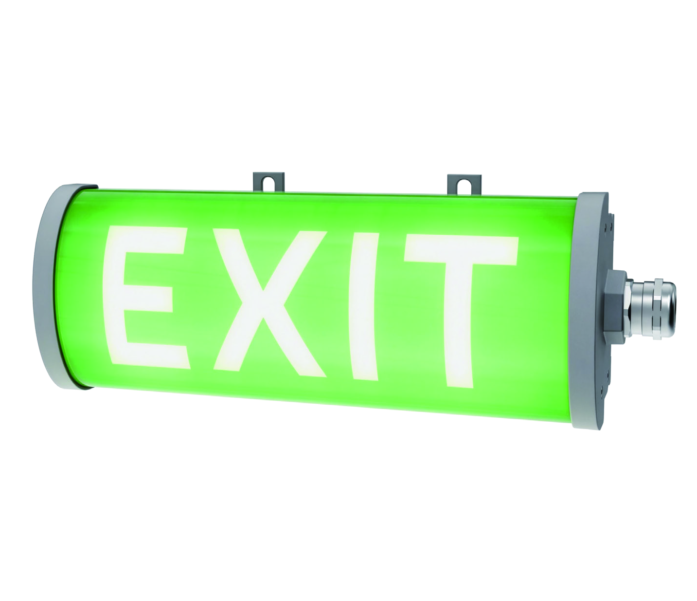 Explosion Proof Emergency Exit Light